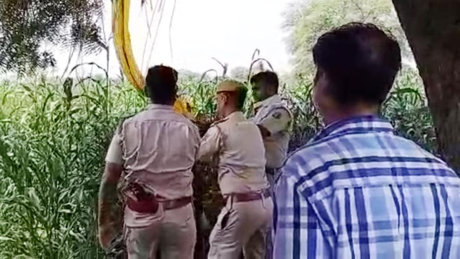 पेड़ से लटका मिला महिला का शव