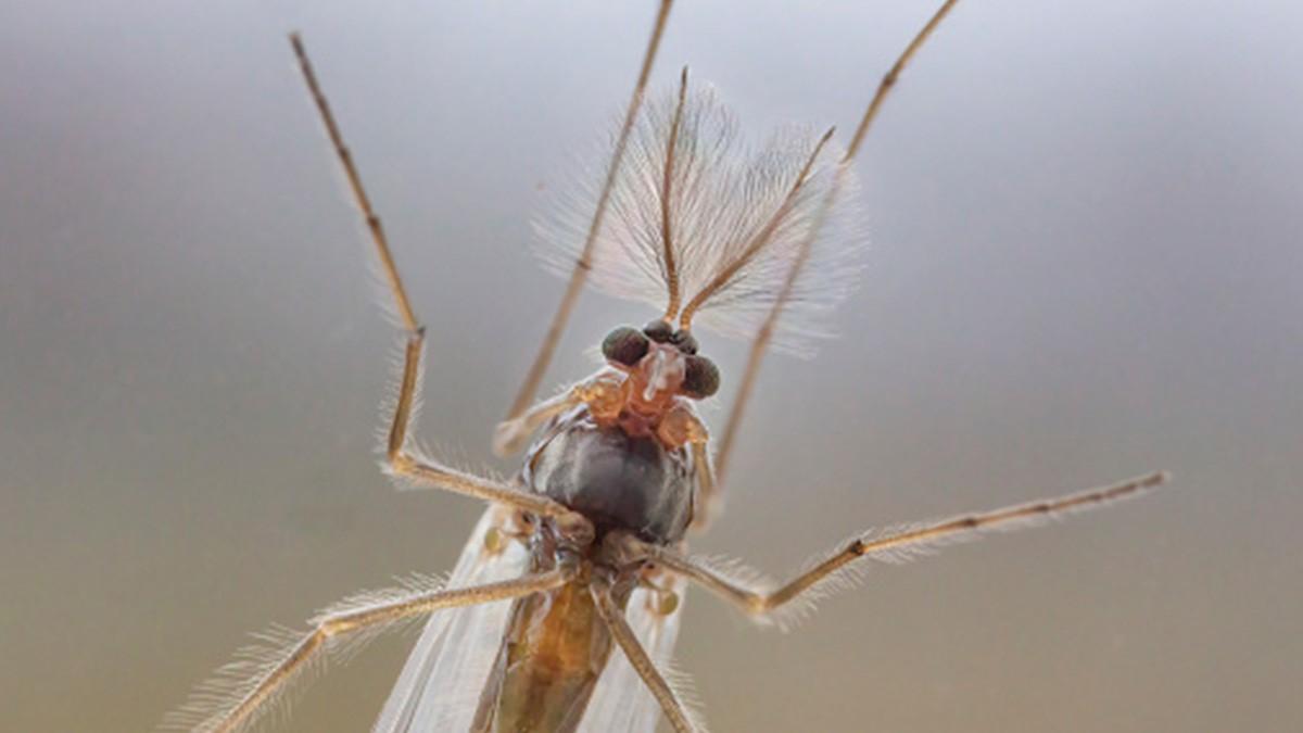 प्रतीकात्मक फोटो 