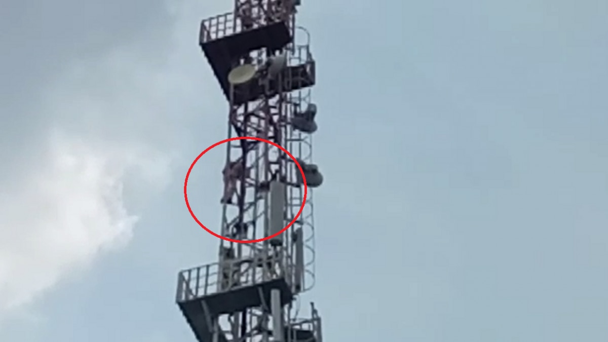 बरेली: ठेले वाले को इंजीनियर लड़की से हुआ 'प्यार', फिर...