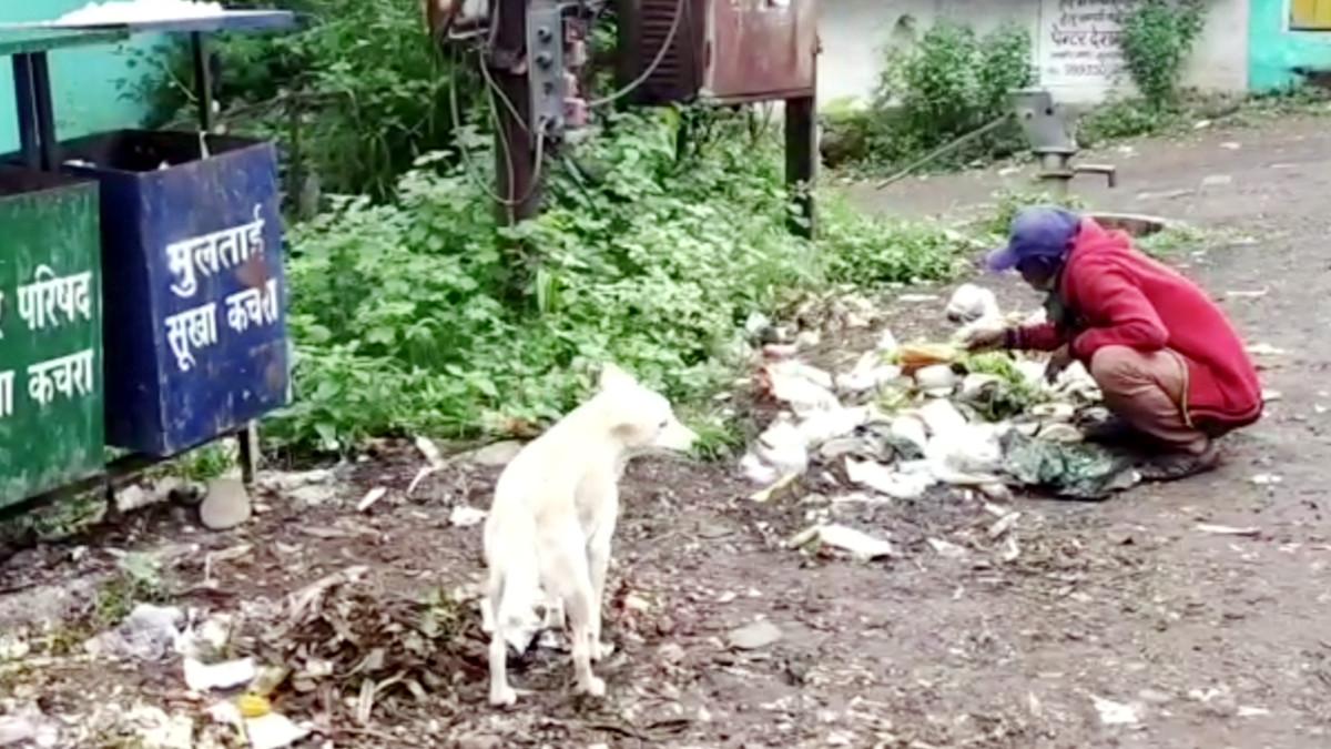 कूड़े के ढेर से झूठा खाना ढूंढते बुजुर्ग. 