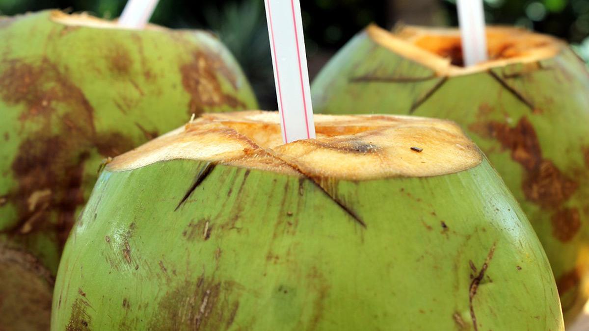 Best Foods To Recover From Dengue Fever