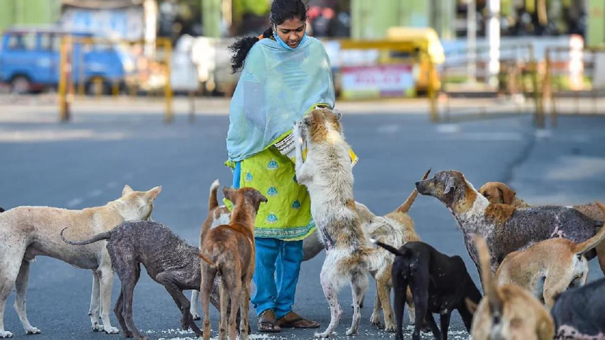MP में सामने आया झकझोर देने वाला मामला, कुत्तों के मुंह में डाला एसिड, पांच की मौत