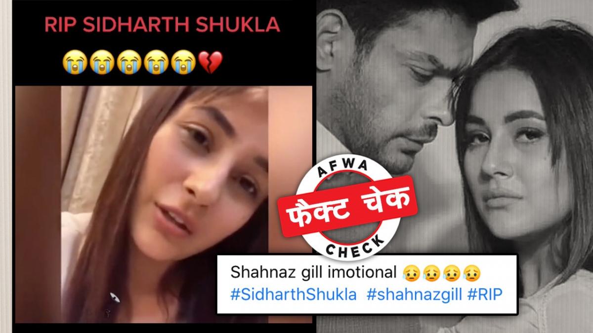 सोशल मीडिया यूजर्स