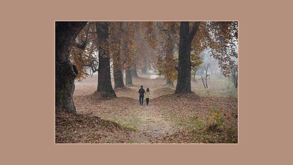 प्रतीकात्मक चित्र [ Getty Images ]