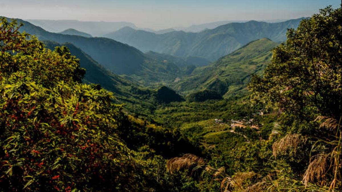 Photo Credit: Getty Images