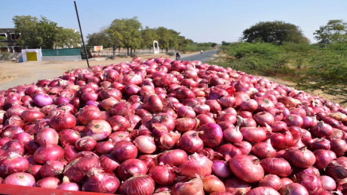 Haryana Government Providing Subsidy On Onion Storage Room