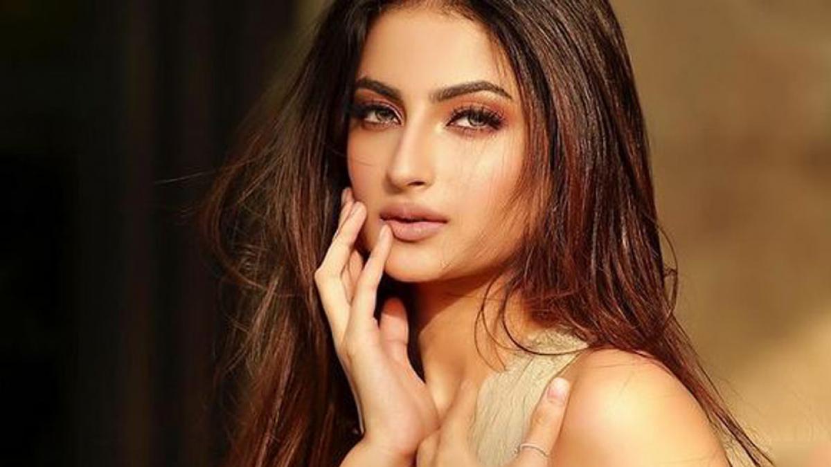 फिल्मों में मेरी मां का कनेक्शन नहीं है, नेपोटिज्म पर बोलीं श्वेता तिवारी की बेटी