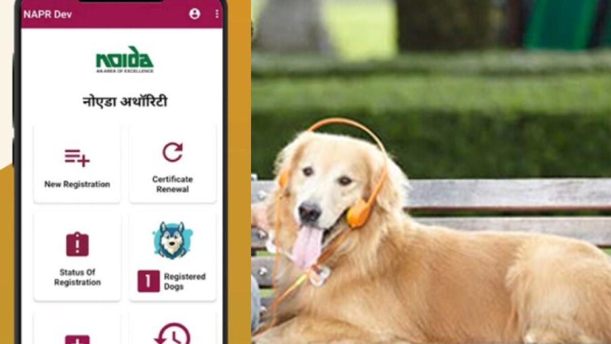 प्रतीकात्मक फोटो