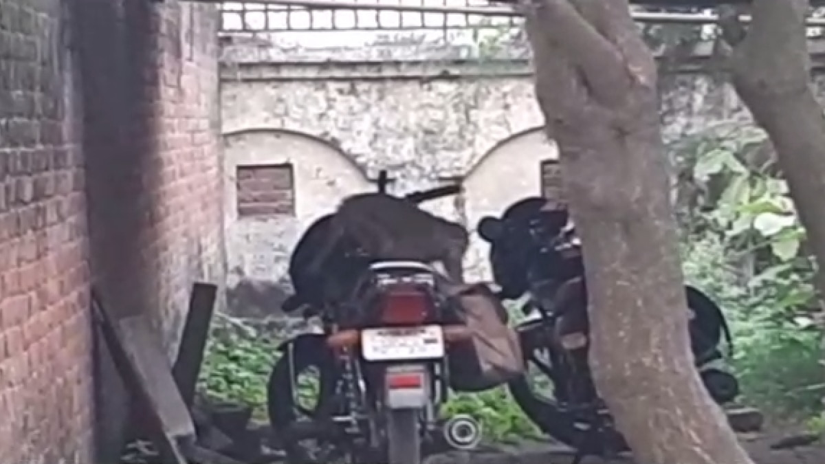 पैसा लेकर भागता बंदर