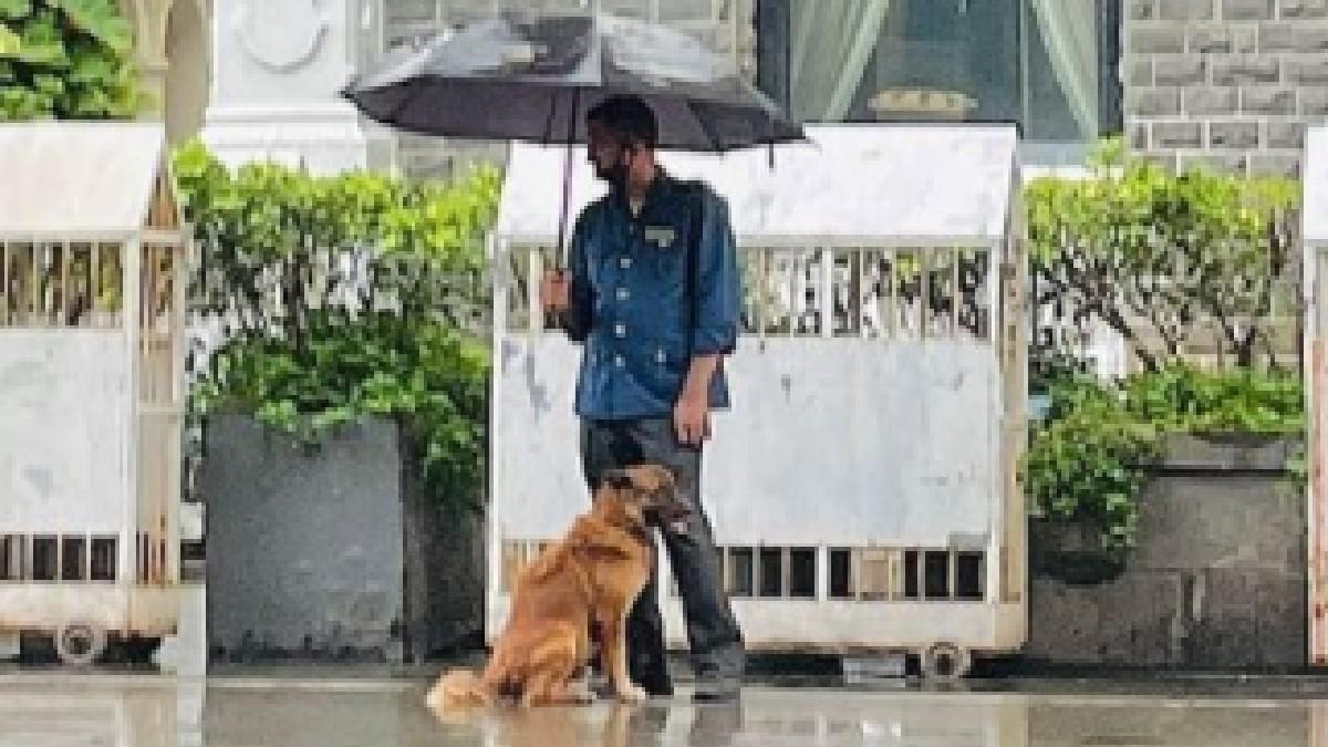 रतन टाटा ने सोशल मीडिया पर शेयर की फोटो