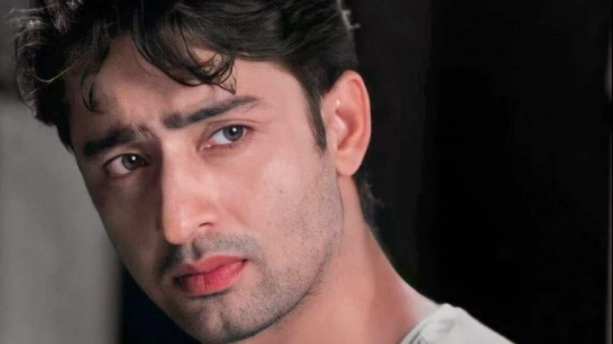 शाहीर शेख