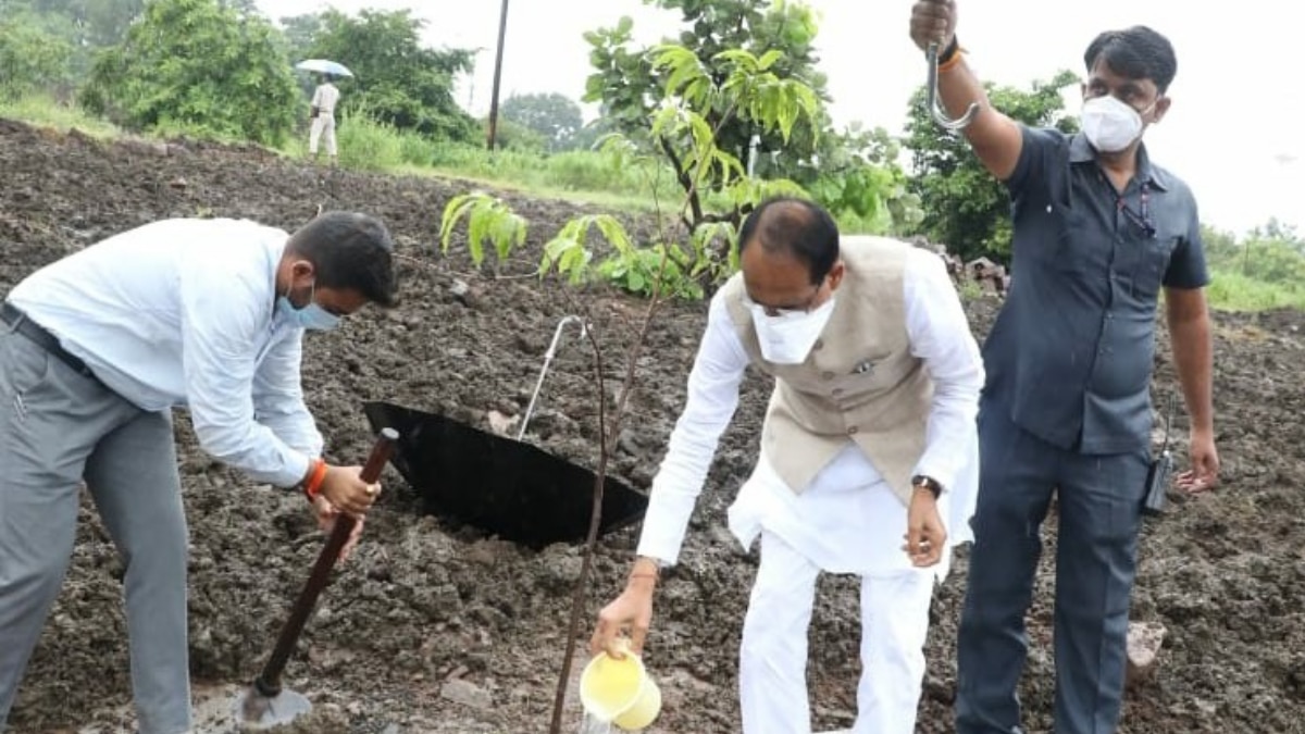 मध्य प्रदेश के सीएम शिवराज सिंह की यह तस्वीर सोशल मीडिया पर चर्चा में है. 