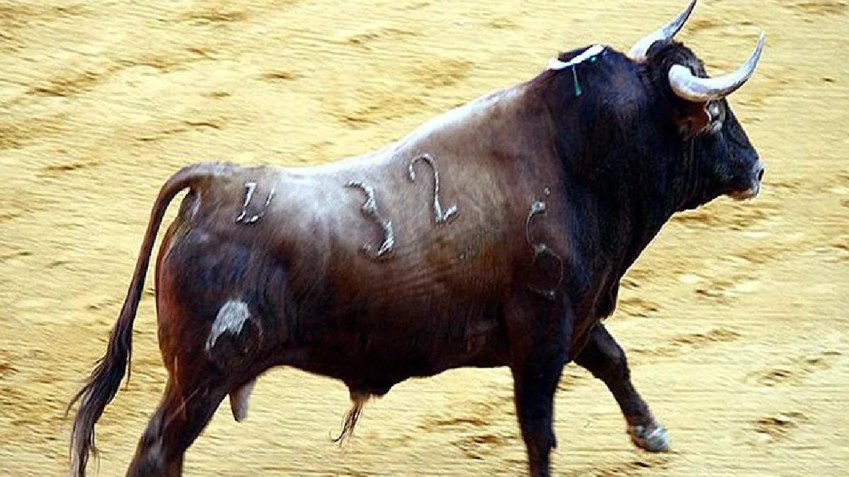 प्रतीकात्मक फोटो