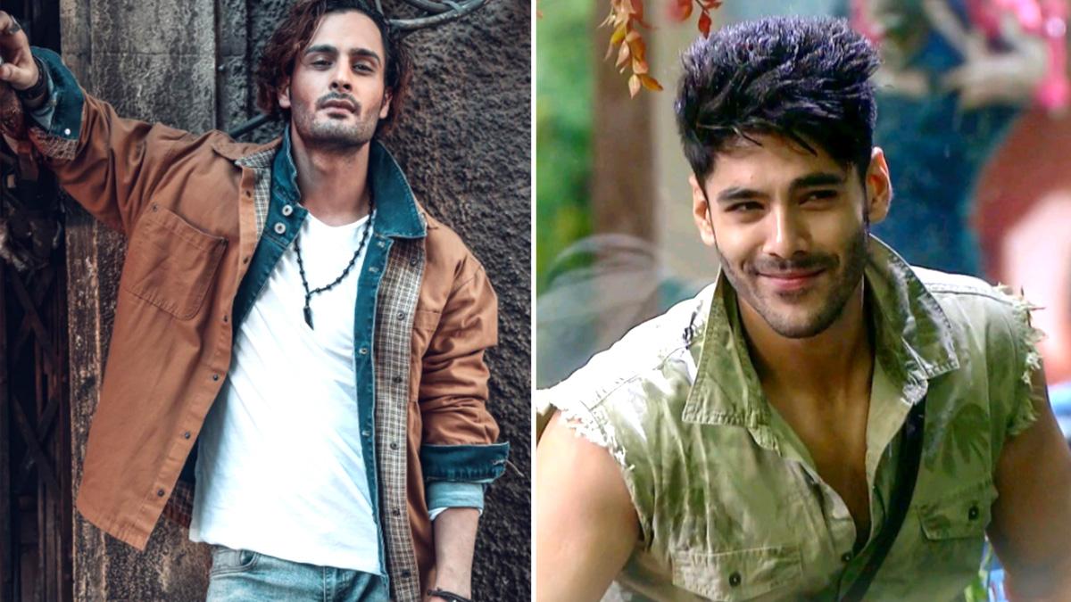 Bigg Boss 15: सिम्बा नागपाल ने उमर को आसिम से किया कंपेयर, बोले- 'फट्टू रियाज, भाई के दम पर आया, नहीं कोई औकात'