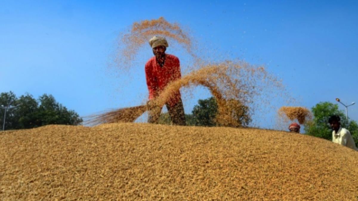 सांकेतिक तस्वीर (पीटीआई)