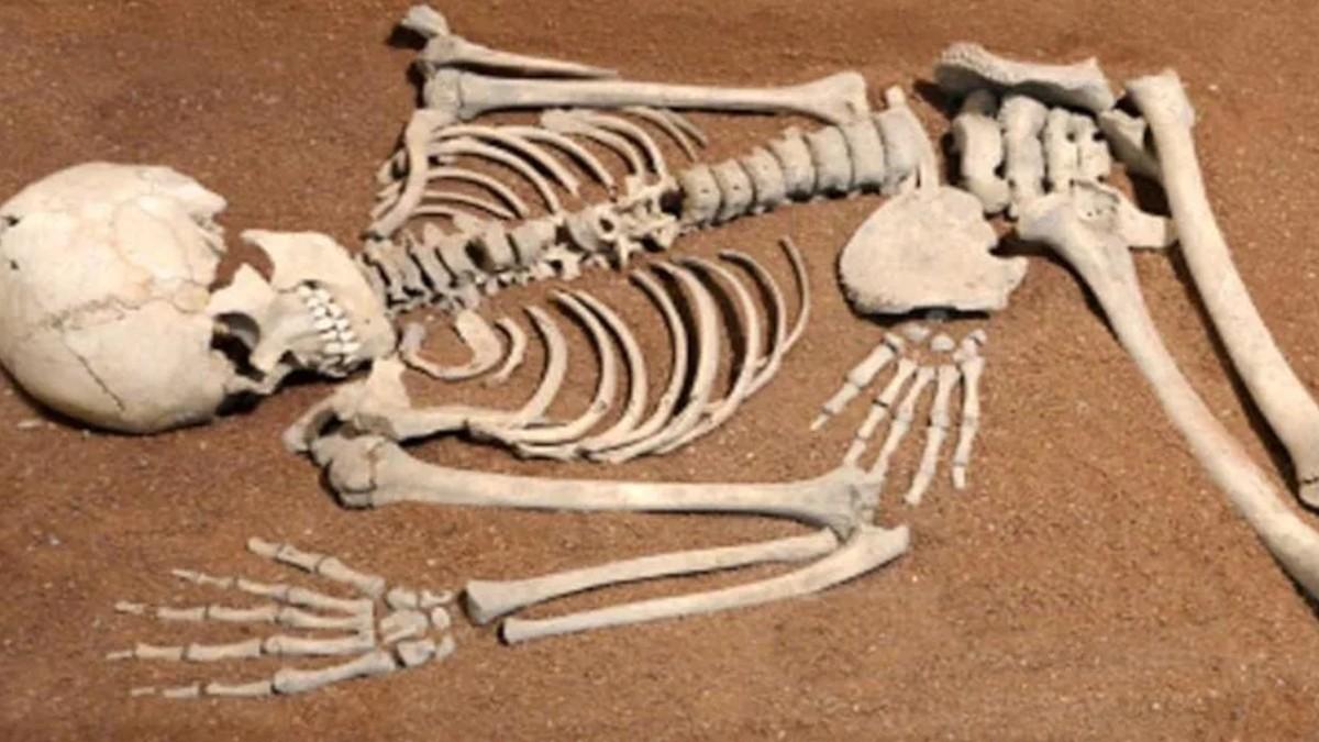 प्रतीकात्मक फोटो