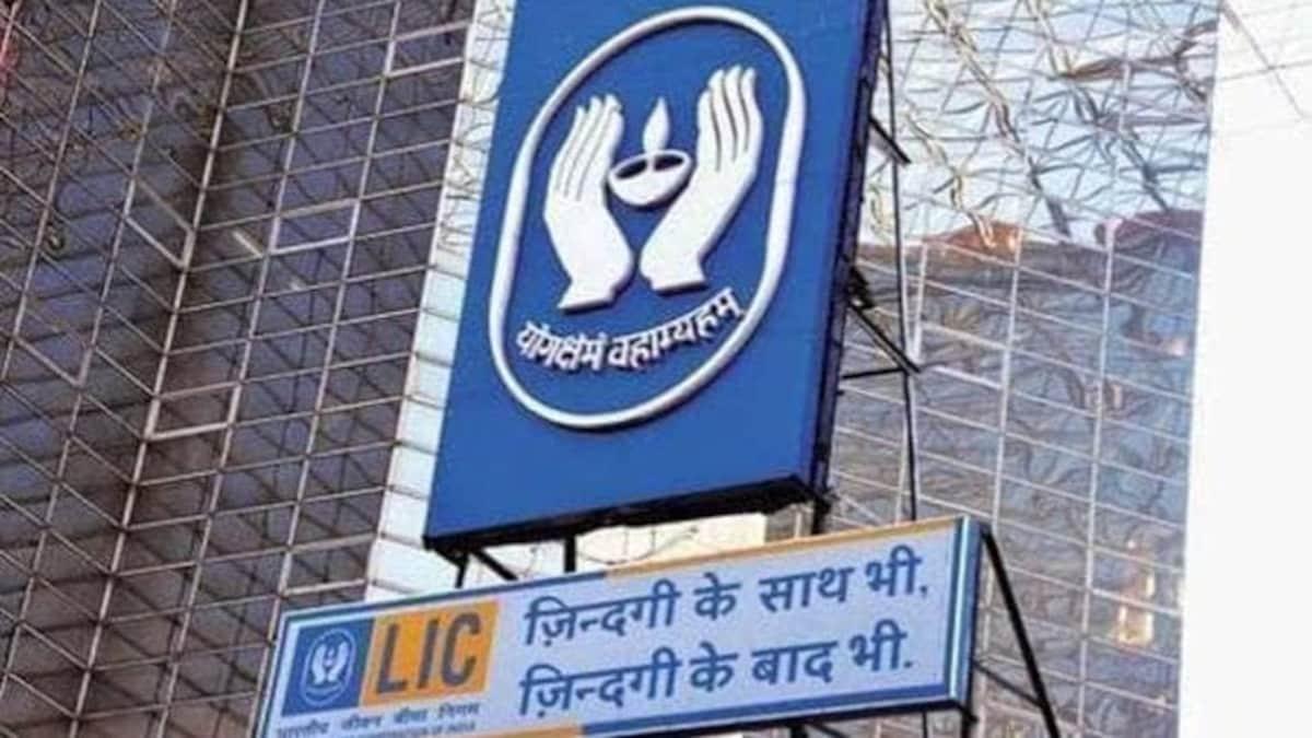 LIC के आईपीओ में 20 फीसदी तक विदेशी निवेश संभव