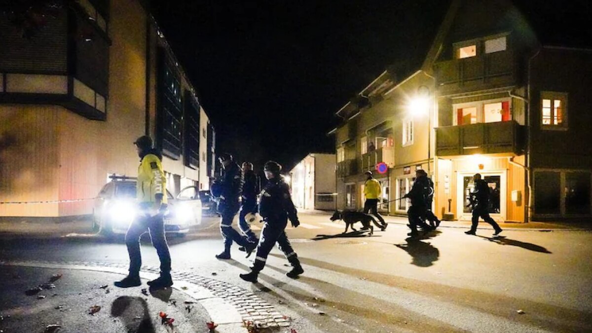 नॉर्वे में तीर-धनुष से लोन वुल्फ अटैक, 5 की मौत-2 जख्मी, आतंकी हमले के एंगल से जांच