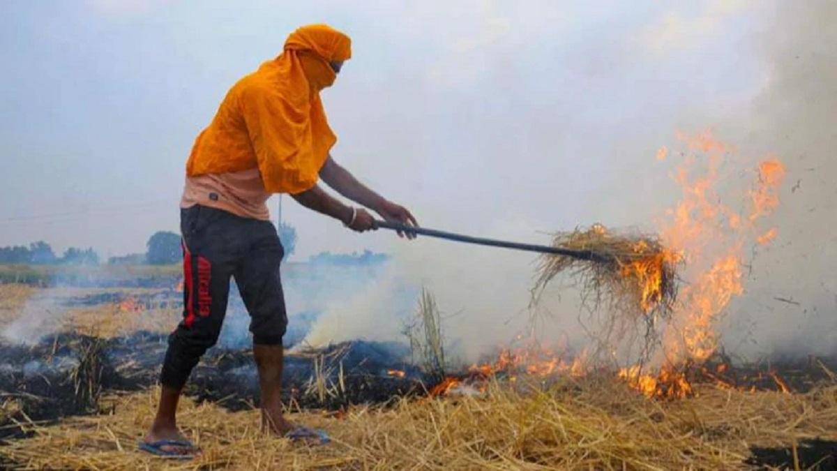 Paddy Stubble Burning