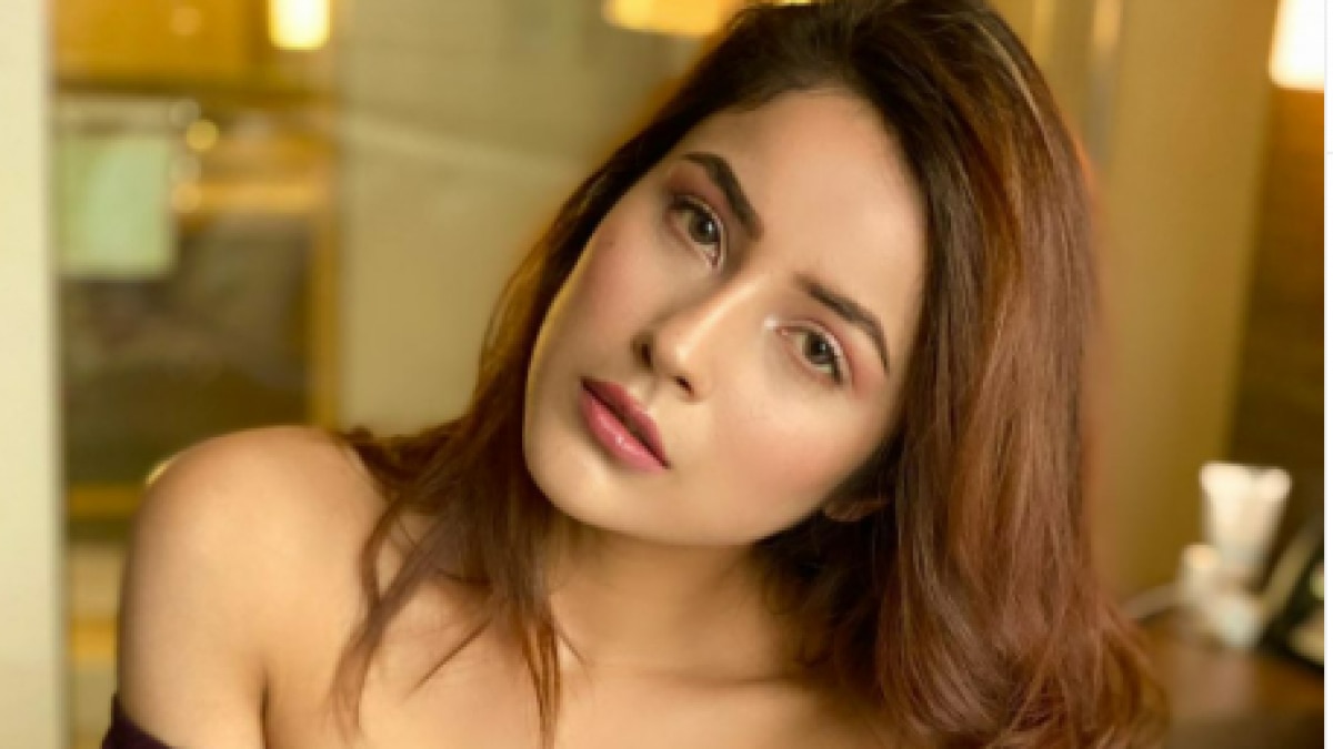 2 महीने बाद सोशल मीडिया पर लौटीं Shehnaaz Gill, सिद्धार्थ शुक्ला के नाम पहला पोस्ट, देंगी ट्रिब्यूट