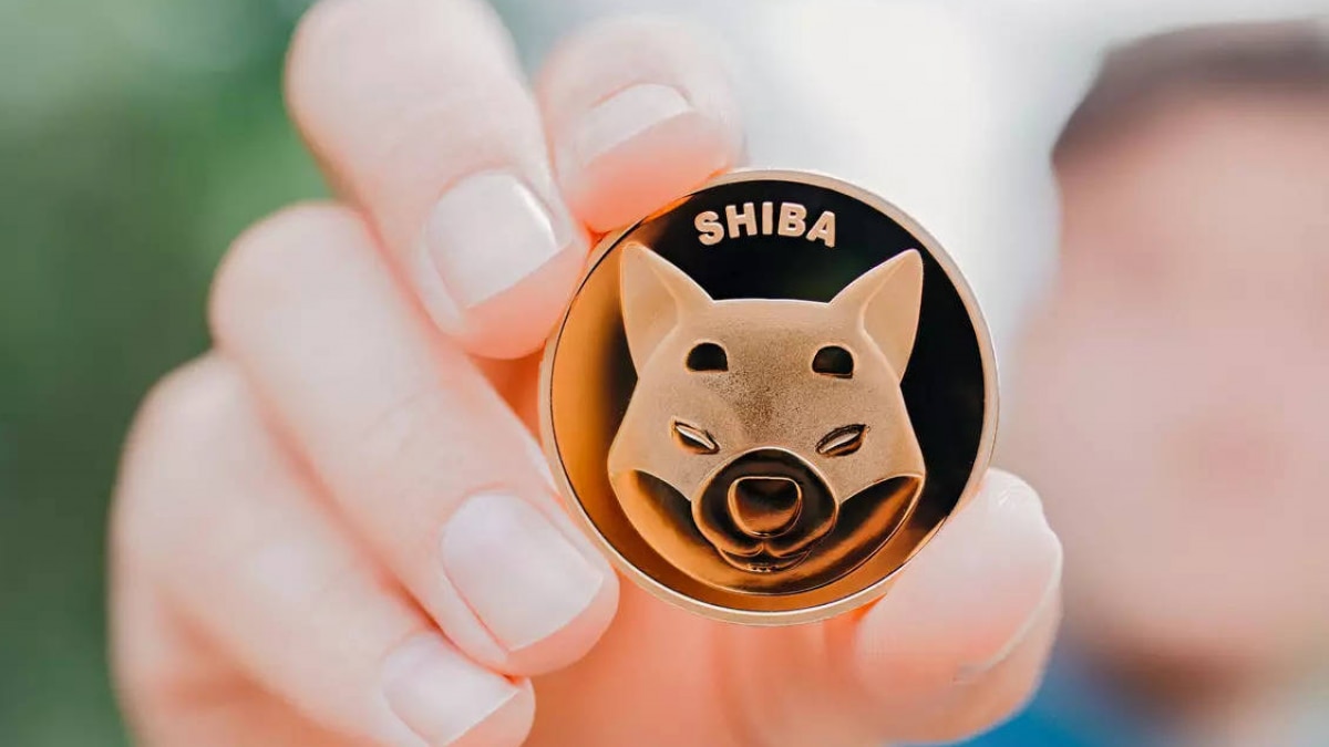 हफ्तेभर में 1 लाख बन गया 3 लाख, Shiba Inu Cryptocurrency से लोग मालामाल