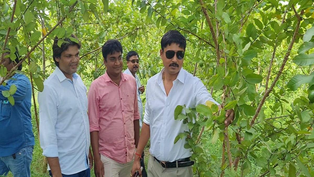 Jharkhand Youth Planted 25,000 Trees