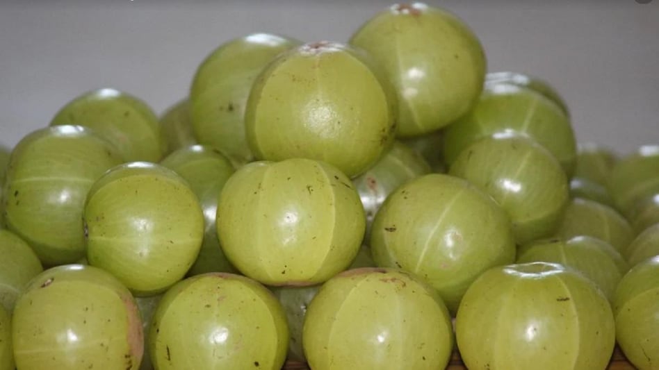 Amla benefits for stomach