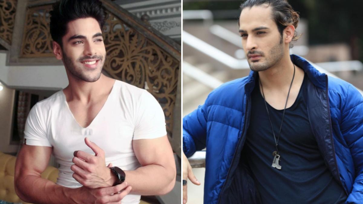 Bigg Boss 15 Umar Riaz ने Simba के करियर पर किया तंज, बोले डेली सोप का एक्टर बताएगा... Bigg