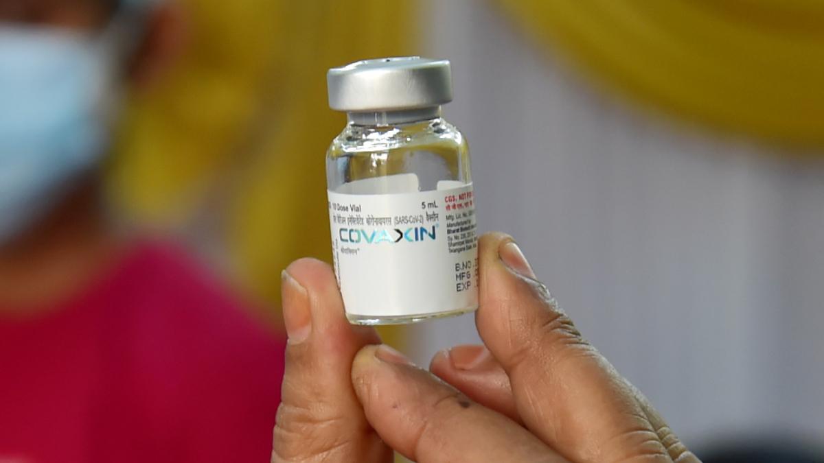 भारत में कोविशील्ड के बाद कोवैक्सीन ही सबसे ज्यादा लग रही. (फाइल फोटो-PTI)