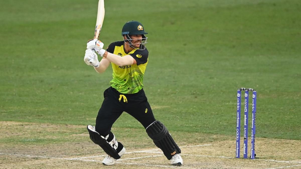 David Warner (Getty)