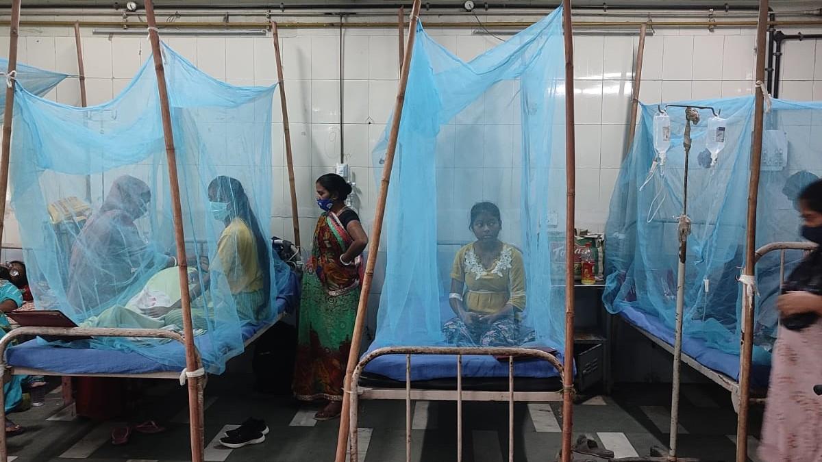 दिल्ली में डेंगू का प्रकोप (फाइल फोटो)