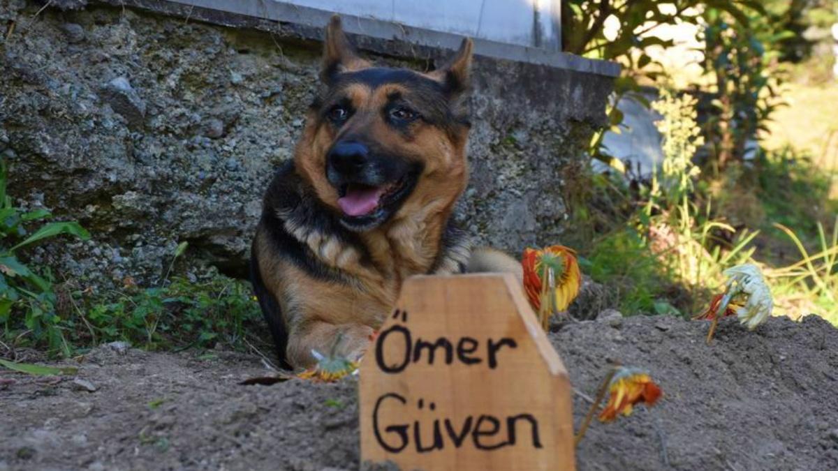 फोटो क्रेडिट-  Getty 