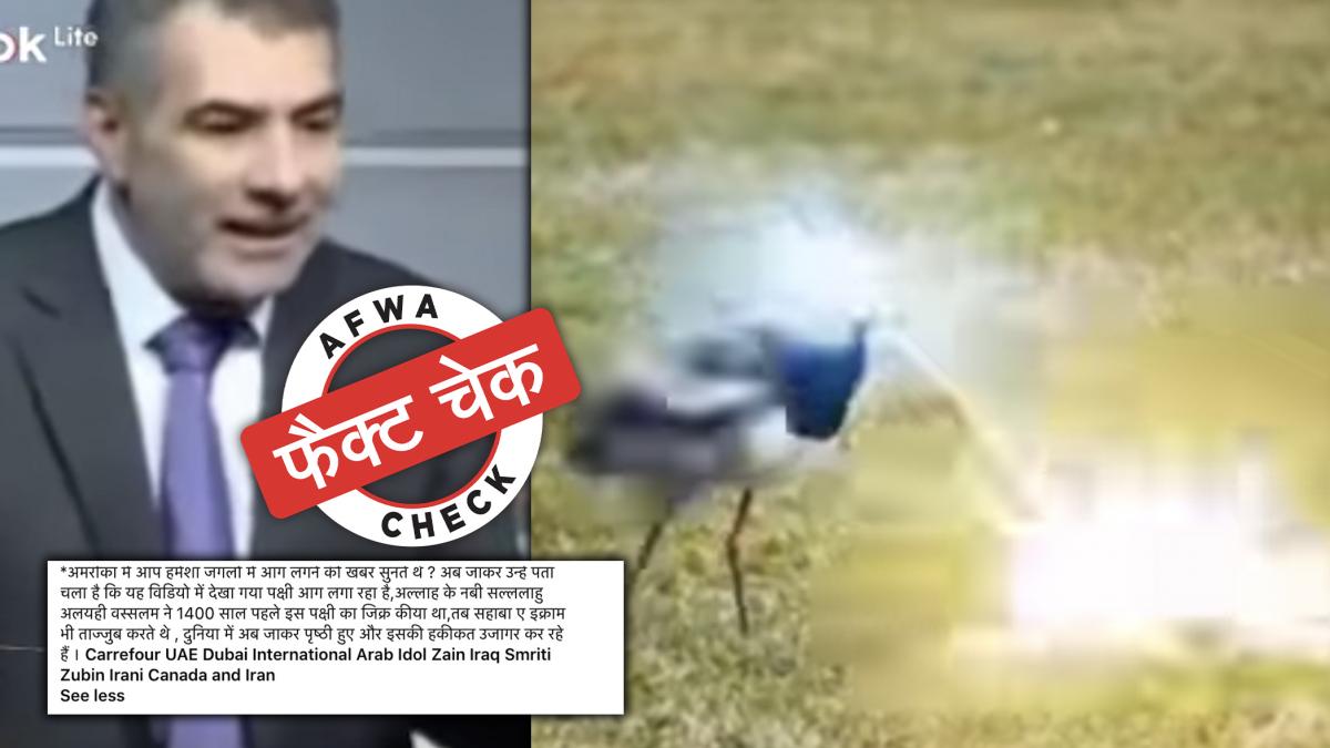 सोशल मीडिया यूजर्स