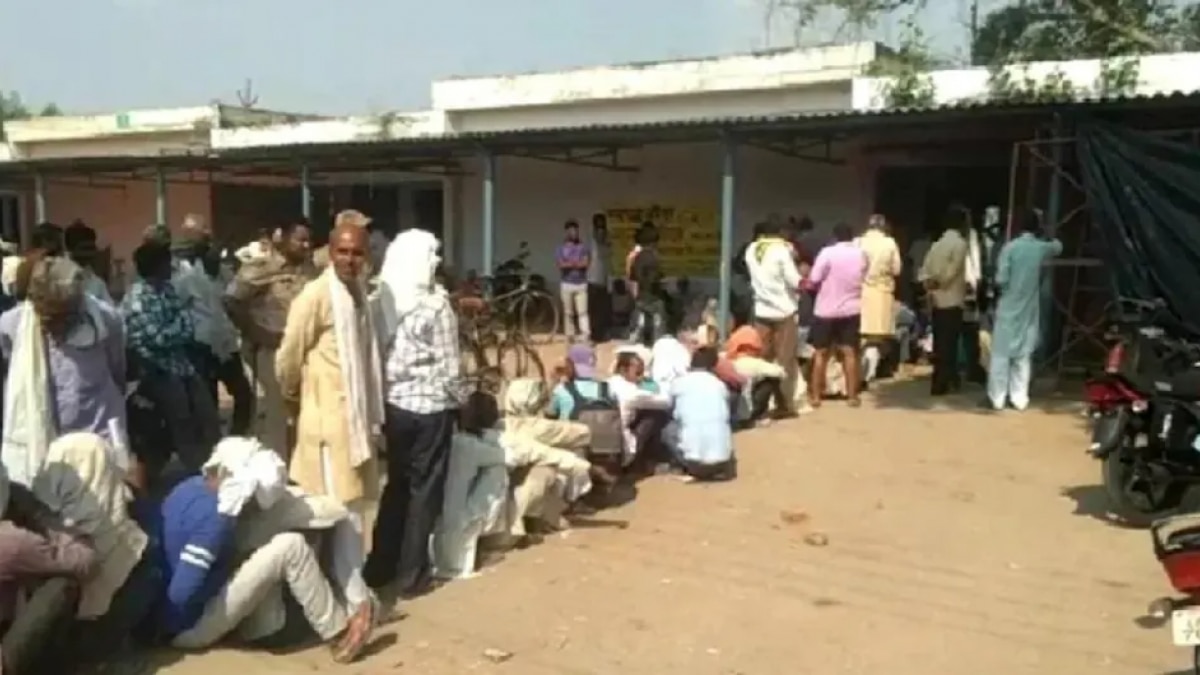 यूपी के खाद संकट पर ग्राउंड रिपोर्ट