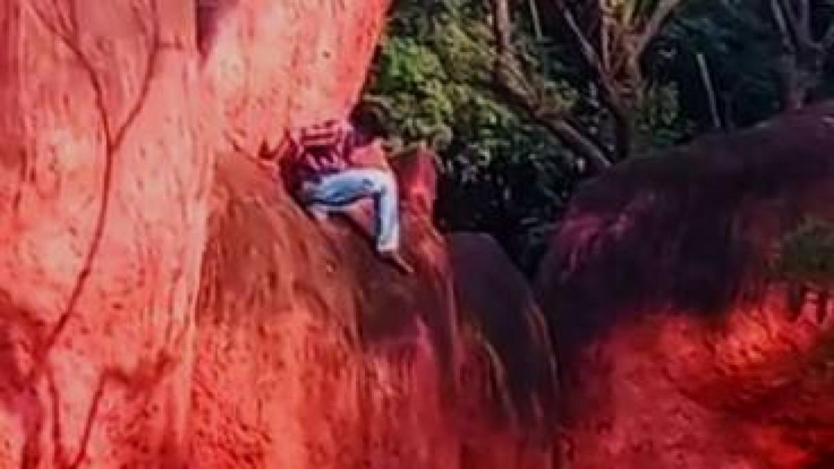 शेर के बाड़े में कूद रहा था युवक