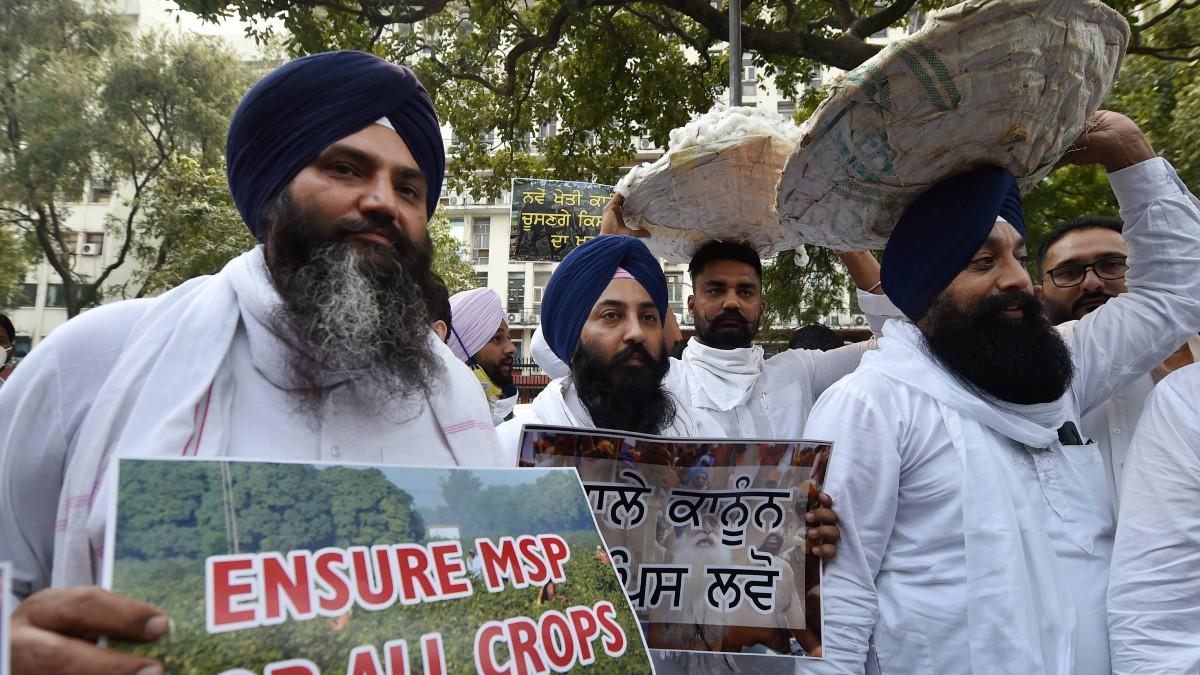 किसानों की मांग है MSP की गारंटी पर बनाया जाए कानून. (फाइल फोटो-PTI)