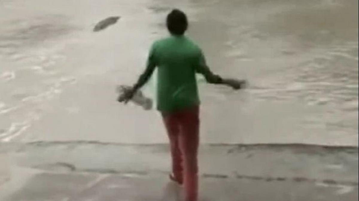 तस्वीर - सोशल मीडिया