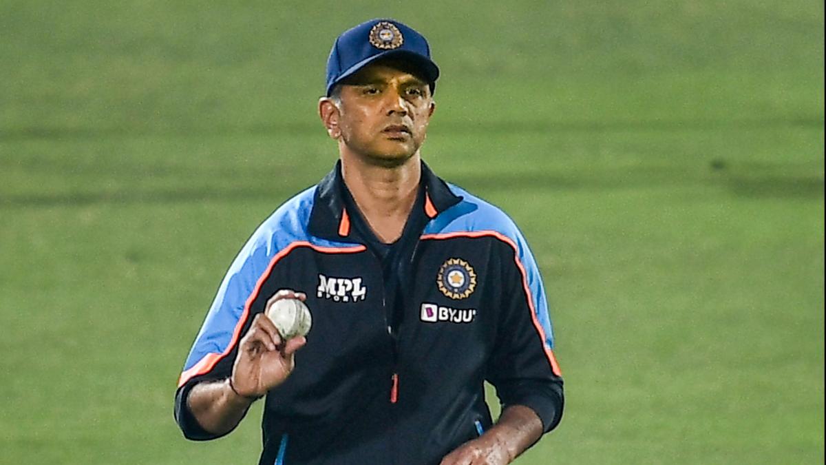Ind Vs Nz, Rahul Dravid (PTI)