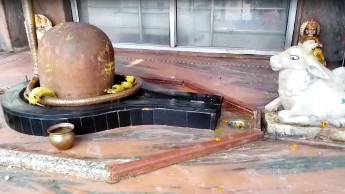 धौलपुर के बीहड़ों में स्थित अश्लेश्वर महादेव मंदिर