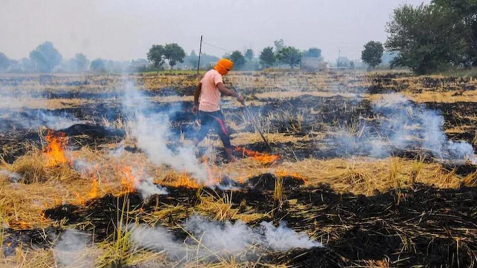 पराली जलाना अब अपराध नहीं! केंद्र ने किसानों की एक और मांग मानी 2 Stubble Burning: सख्ती के बाद भी पराली जलाने पर नहीं लग रही लगाम, यूपी के कई जिलों में किसानों पर हुई कार्रवाई - UP Pollution Update Actions and Fine against many farmers