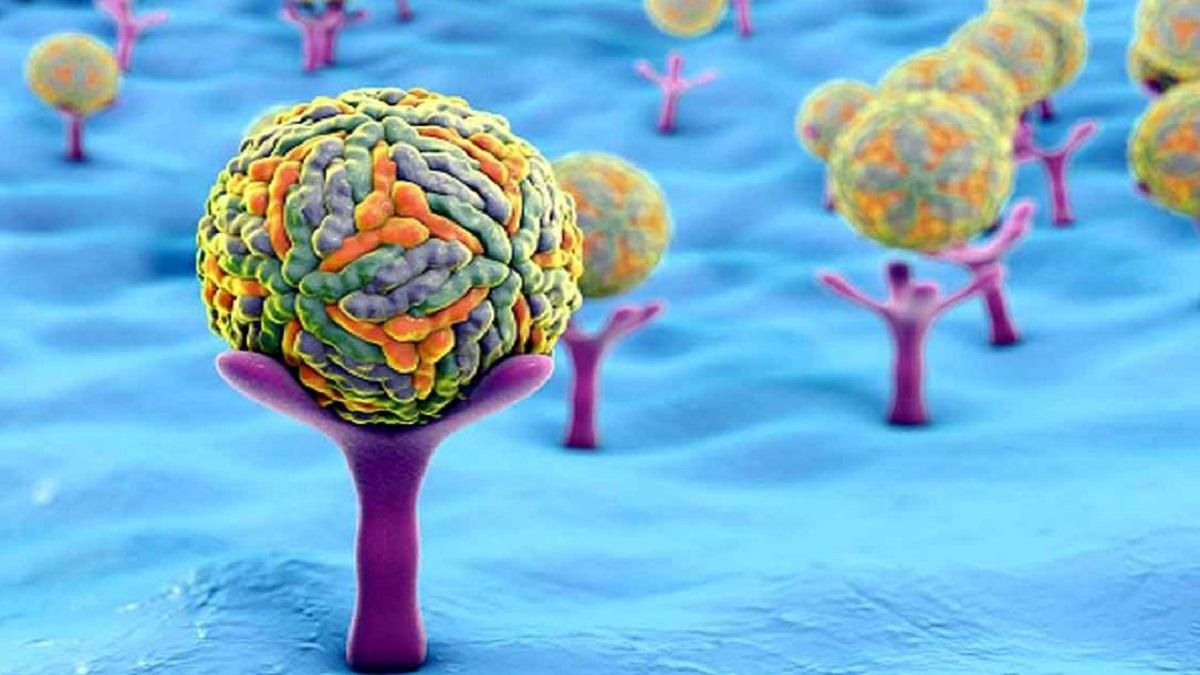 सांकेतिक तस्वीर.