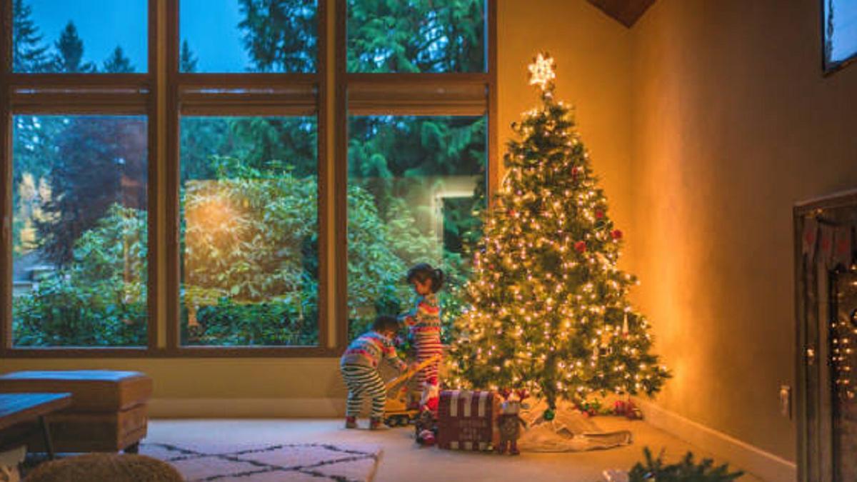Christmas 2021: क्रिसमस ट्री से दूर होते हैं ये 6 वास्तु दोष, खुशियों से भर देगा घर