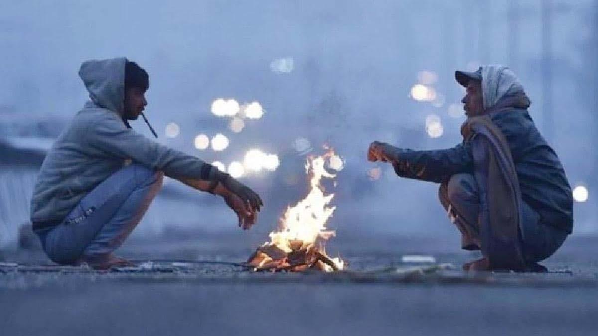 Cold Weather: कहीं ओस की बूंदें बनीं बर्फ तो कहीं माइनस में पारा, शीतलहर की चपेट में समूचा उत्तर भारत