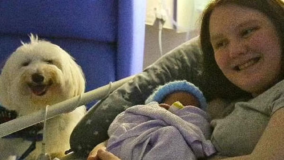 डिलीवरी रूम में कुत्ते ने की प्रेग्नेंट महिला की मदद, 50 घंटे रहा साथ