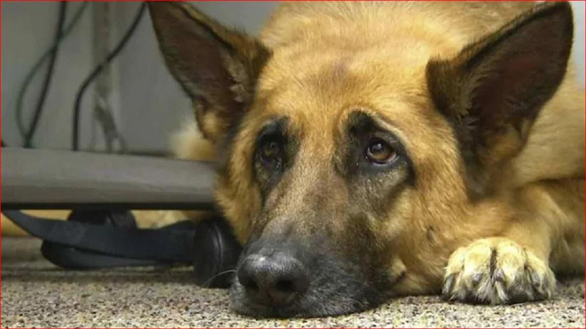 सांकेतिक तस्वीर.