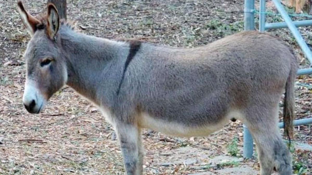 (सांकेतिक फोटो)