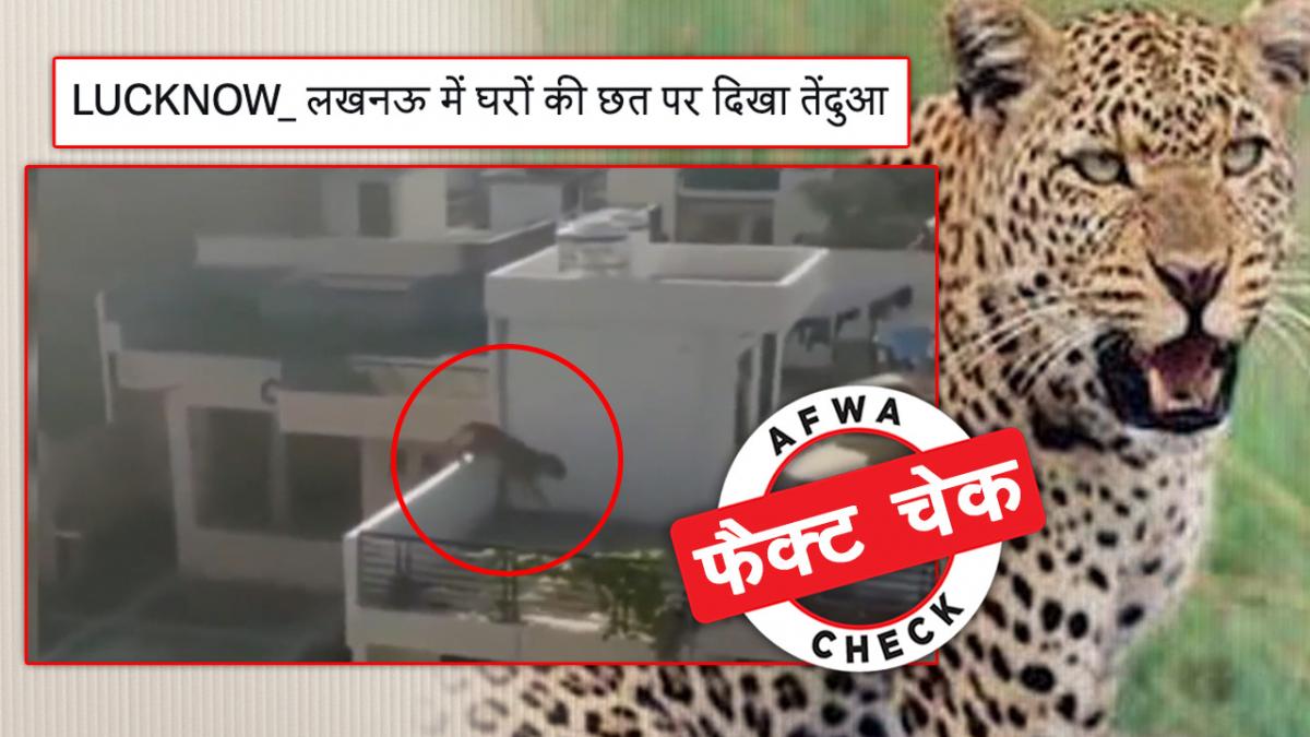 सोशल मीडिया यूजर्स