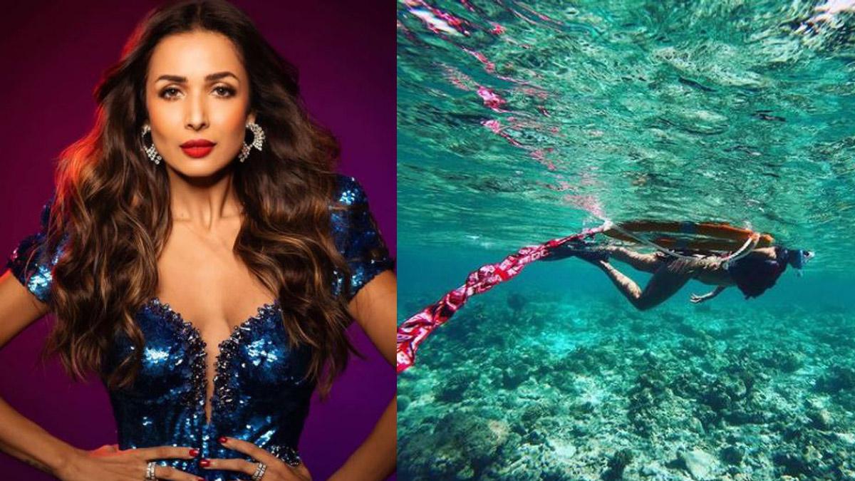 मलाइका अरोड़ा