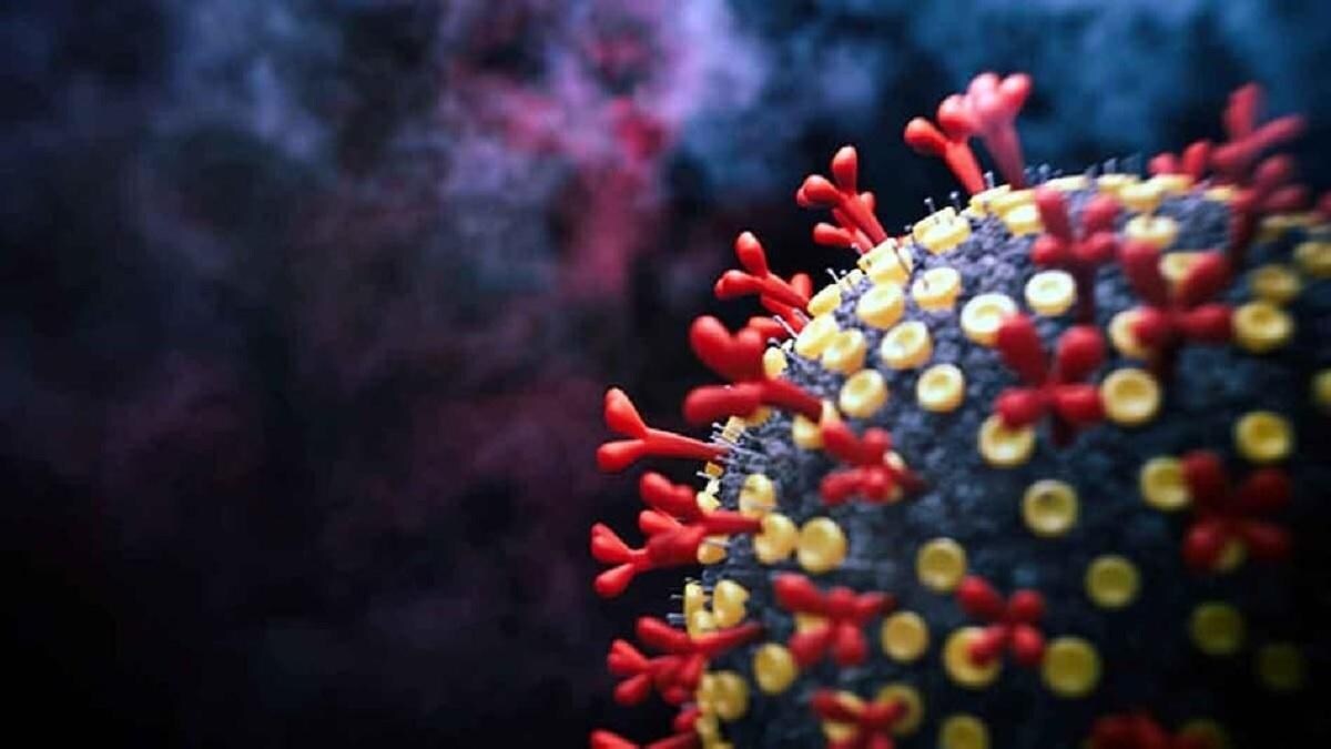 देश में ओमिक्रॉन के 161 केस, ठीक होकर डिस्चार्ज हुए 42, एक भी मरीज गंभीर  नहीं - 161 omicron patients in india no patient found serious yet ntc -  AajTak