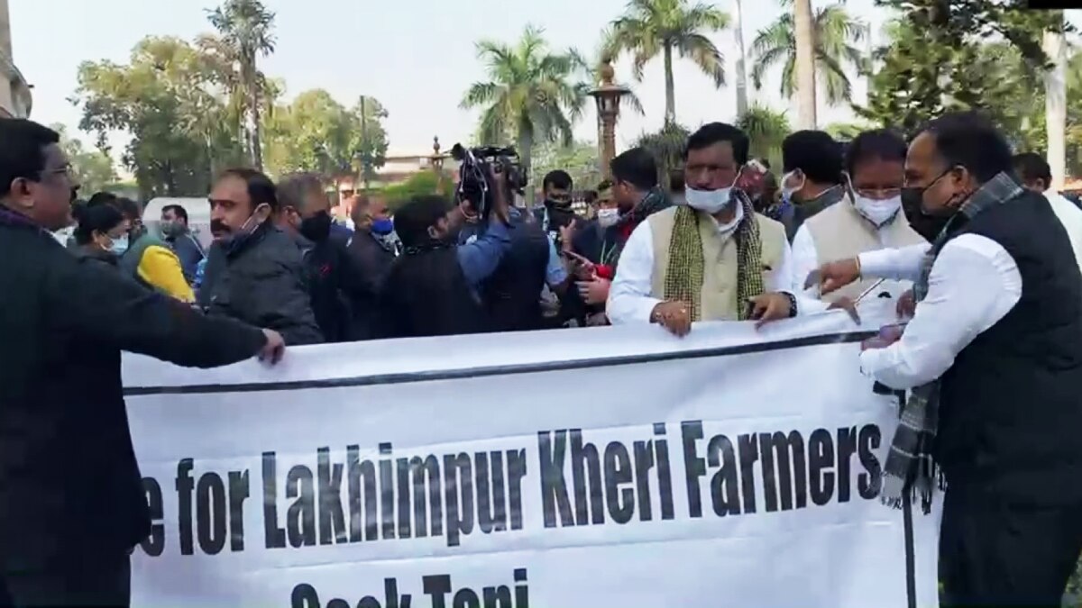 संसद में गांधी प्रतिमा से विजय चौक तक किया मार्च  